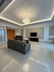 Ardmore Park (D10), Condominium #632978601